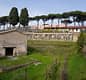 Tour Privato Eco-Vesuviano con Pranzo a Km 0: Archeologia e Sostenibilità (Accessibile PMR)