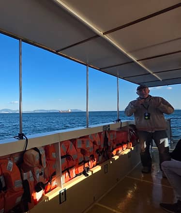 Tour panoramico in battello nel Golfo di Napoli