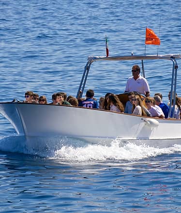 Island Tour + Blue Grotto Visit - Yellow Line