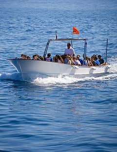 Giro dell'isola di Capri e sosta alla Grotta Azzurra