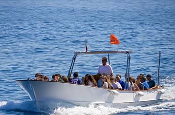 Island Tour + Blue Grotto Visit - Yellow Line