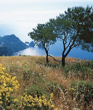 Capri: dalla Scala Fenicia a Monte Solaro, tour privato