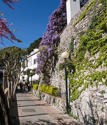 Capri 5 sensi (tour privato di 3 ore)