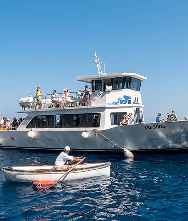 Transfer to Blue Grotto and Back- Blue Line