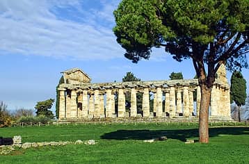 Mozzarella tour a Paestum + visita ai templi