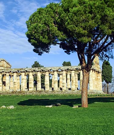 Mozzarella tour a Paestum + visita ai templi