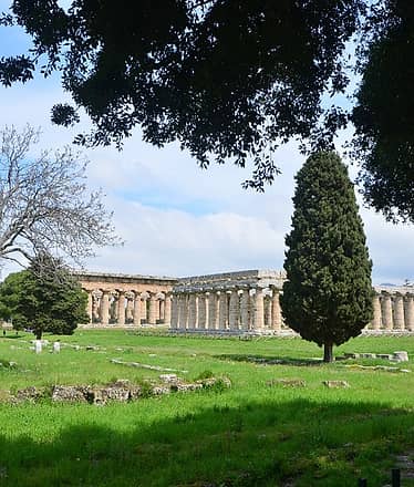 Tour of Paestum + Mozzarella Tasting
