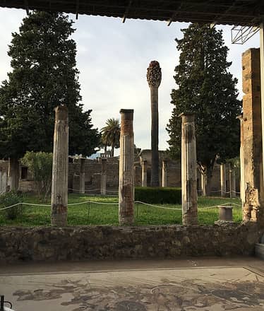 Private Excursion: Pompei Ruins, Herculaneum Ruins, Vesuvius daytrip.