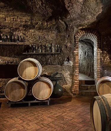 Tour di Pompei Scavi, cantina locale e degustazioni di vini e prodotti tipici locali.