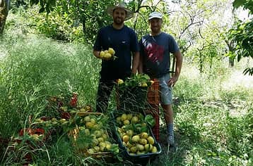 Farm Experience: Tour, Dinner, and Wine Tasting