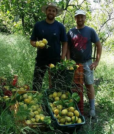 Farm Experience: Tour, Dinner, and Wine Tasting