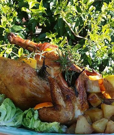 Farm Experience: Tour, Dinner, and Wine Tasting