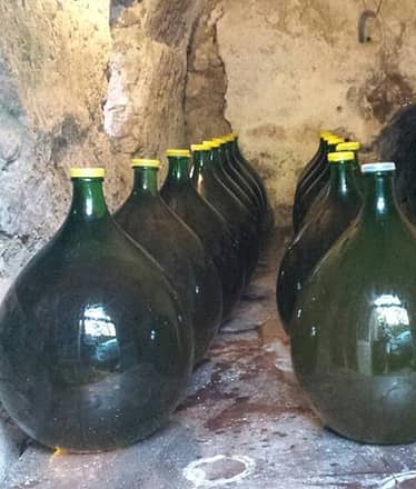 Farm Experience: Tour, Dinner, and Wine Tasting